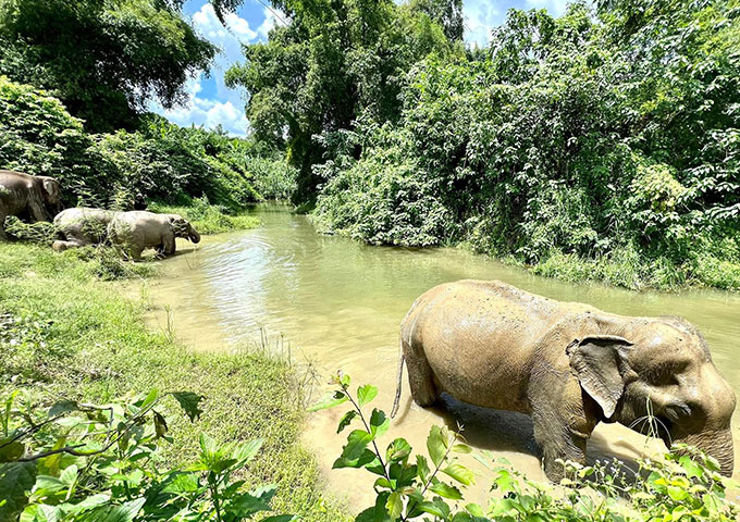 文洛特大象保护区