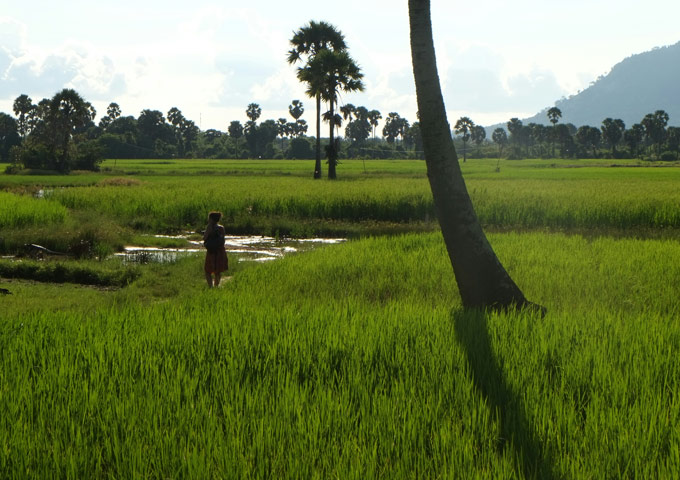 cambodia-countryside