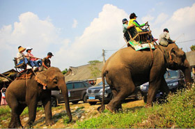 老挝琅勃拉邦4天3晚家庭游+大象营